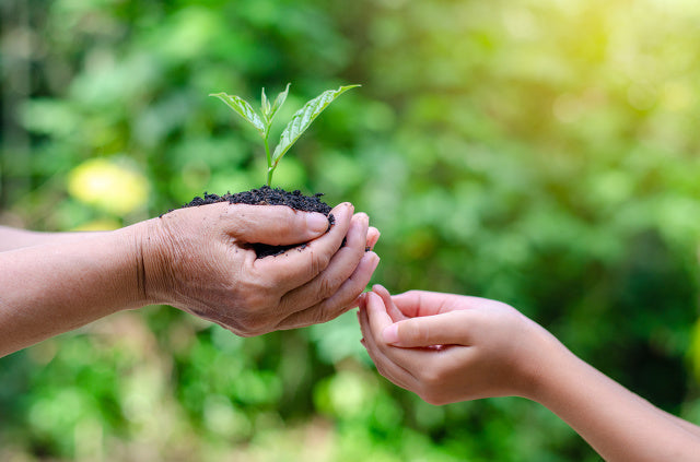 Bringing up children to respect and understanding the environment